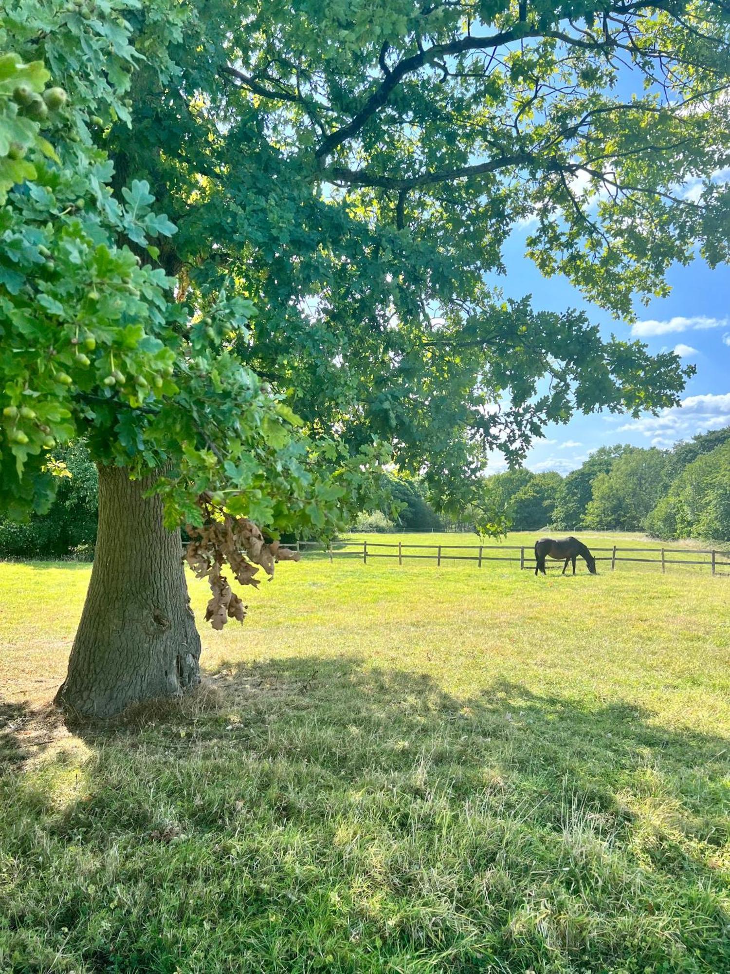 The Saddlery Cheshire Villa Конгълтън Екстериор снимка